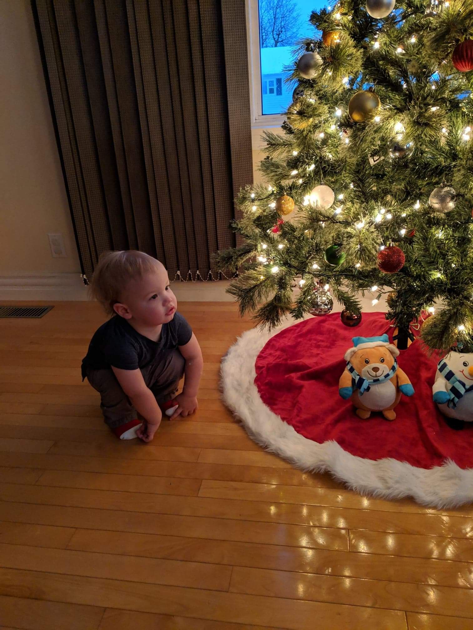 Main Gallery Display