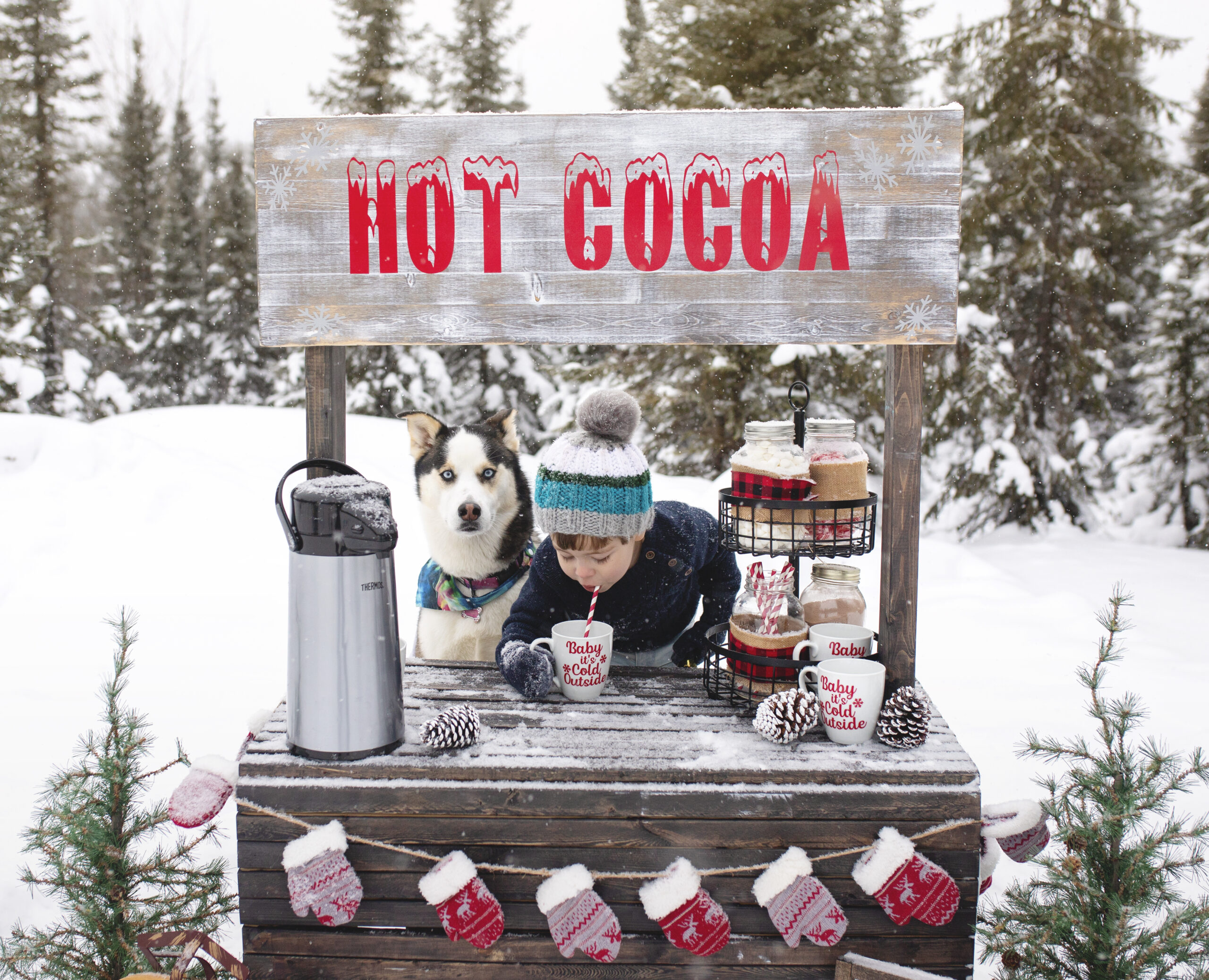 Main Gallery Display