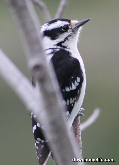 Main Gallery Display