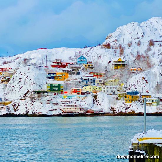 Main Gallery Display