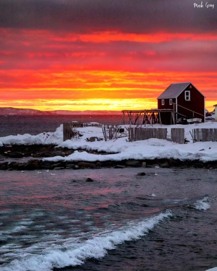 Main Gallery Display