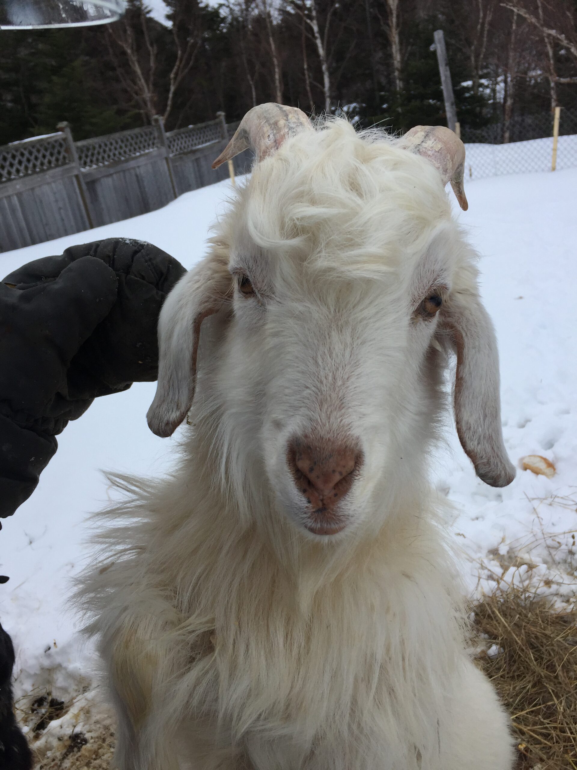 Main Gallery Display
