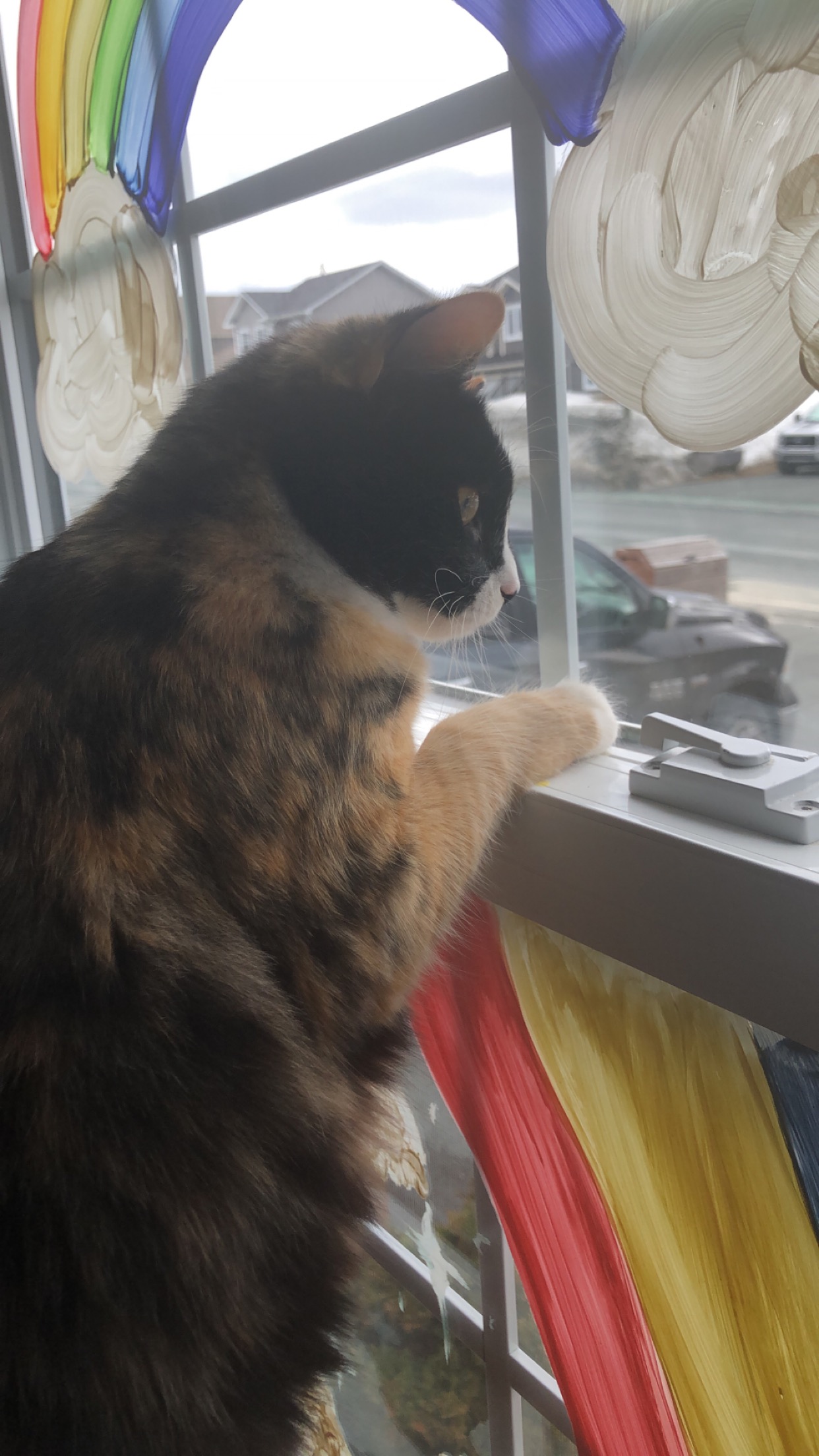 Main Gallery Display