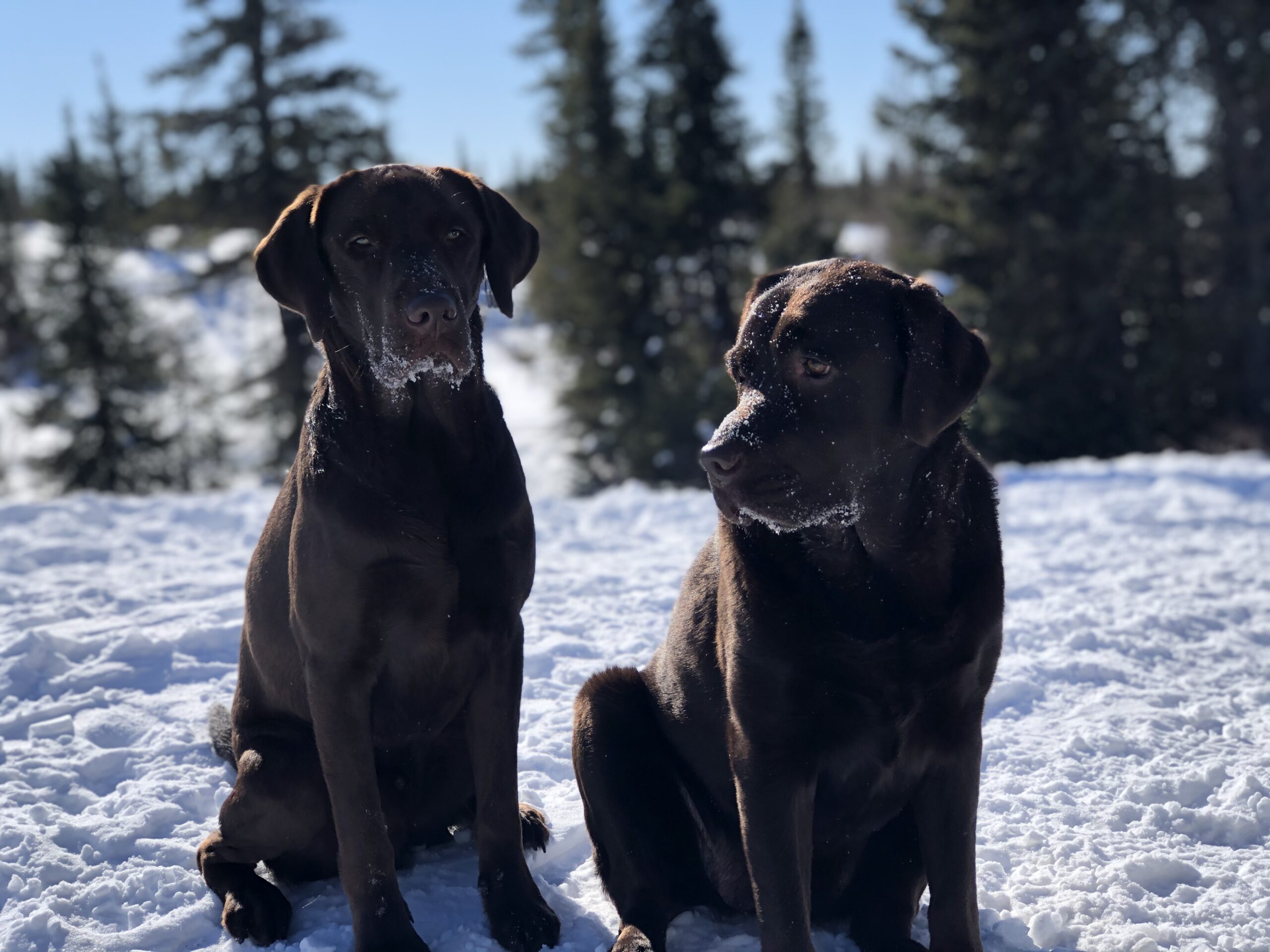 Main Gallery Display