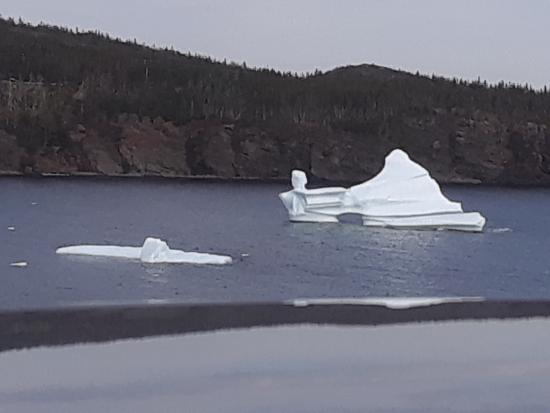 Main Gallery Display