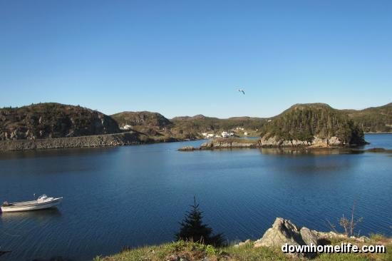 Main Gallery Display