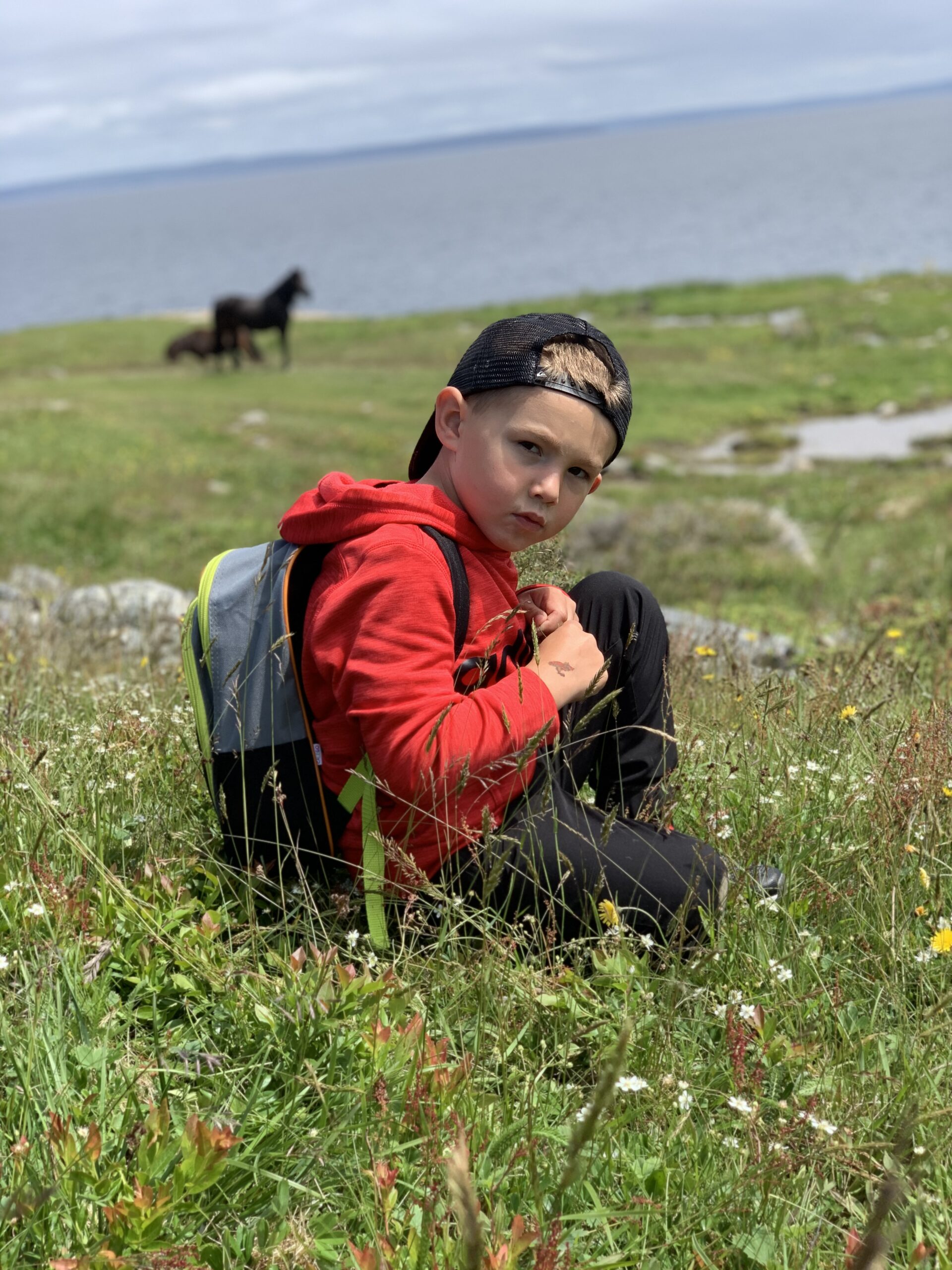 Main Gallery Display