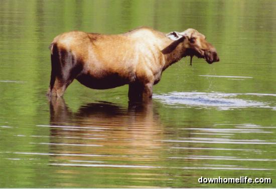 Main Gallery Display