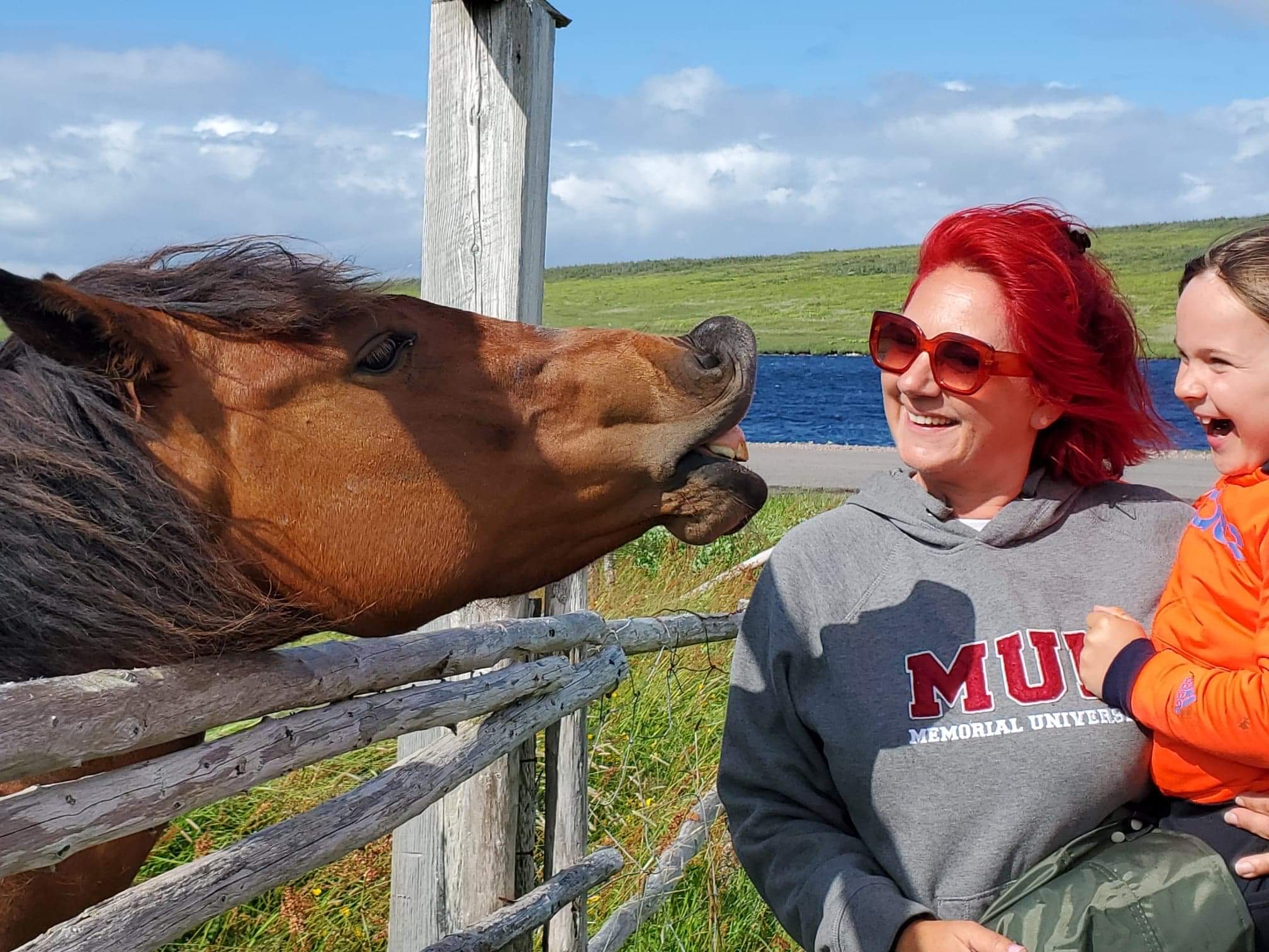 Main Gallery Display