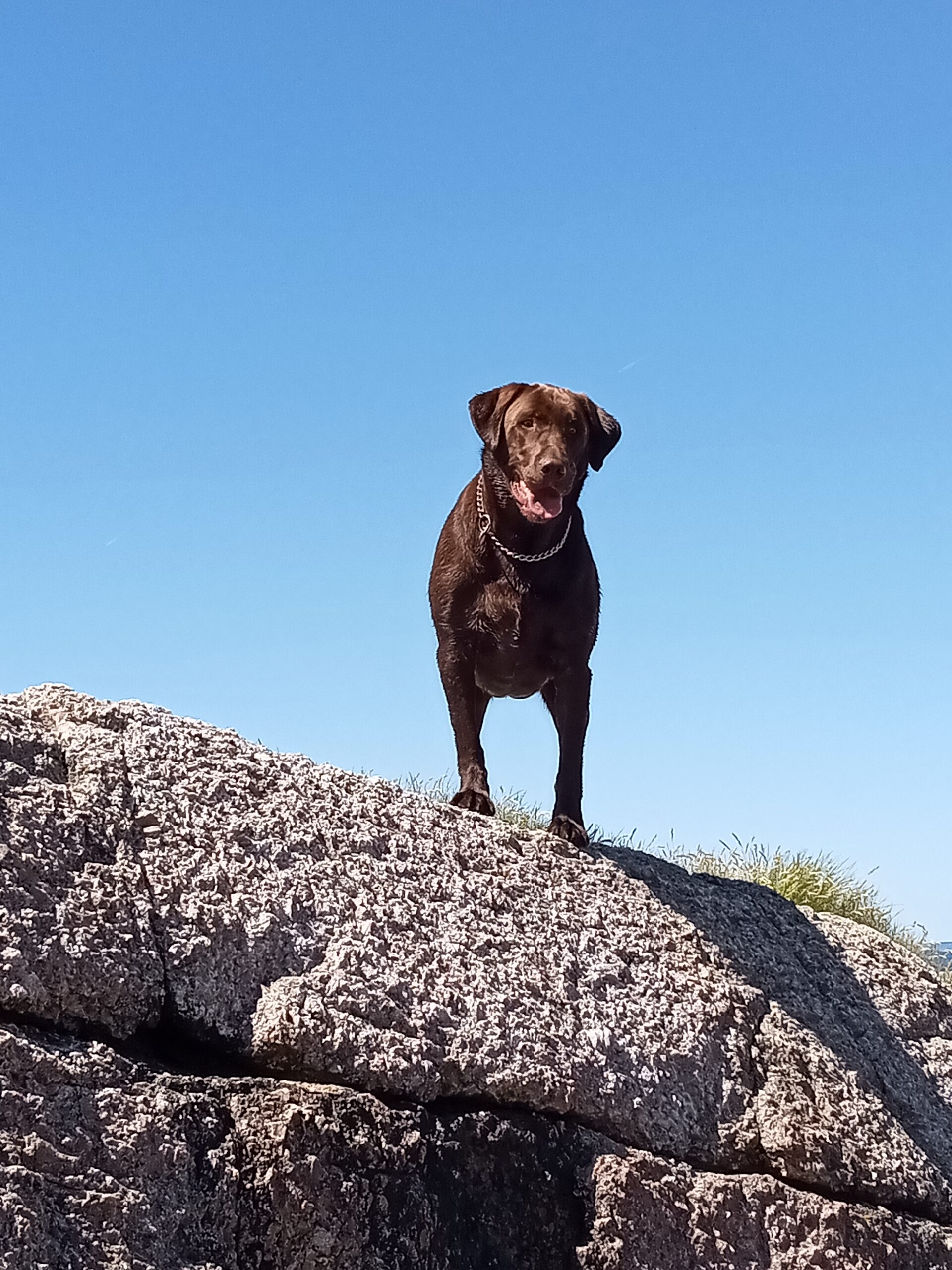 Main Gallery Display