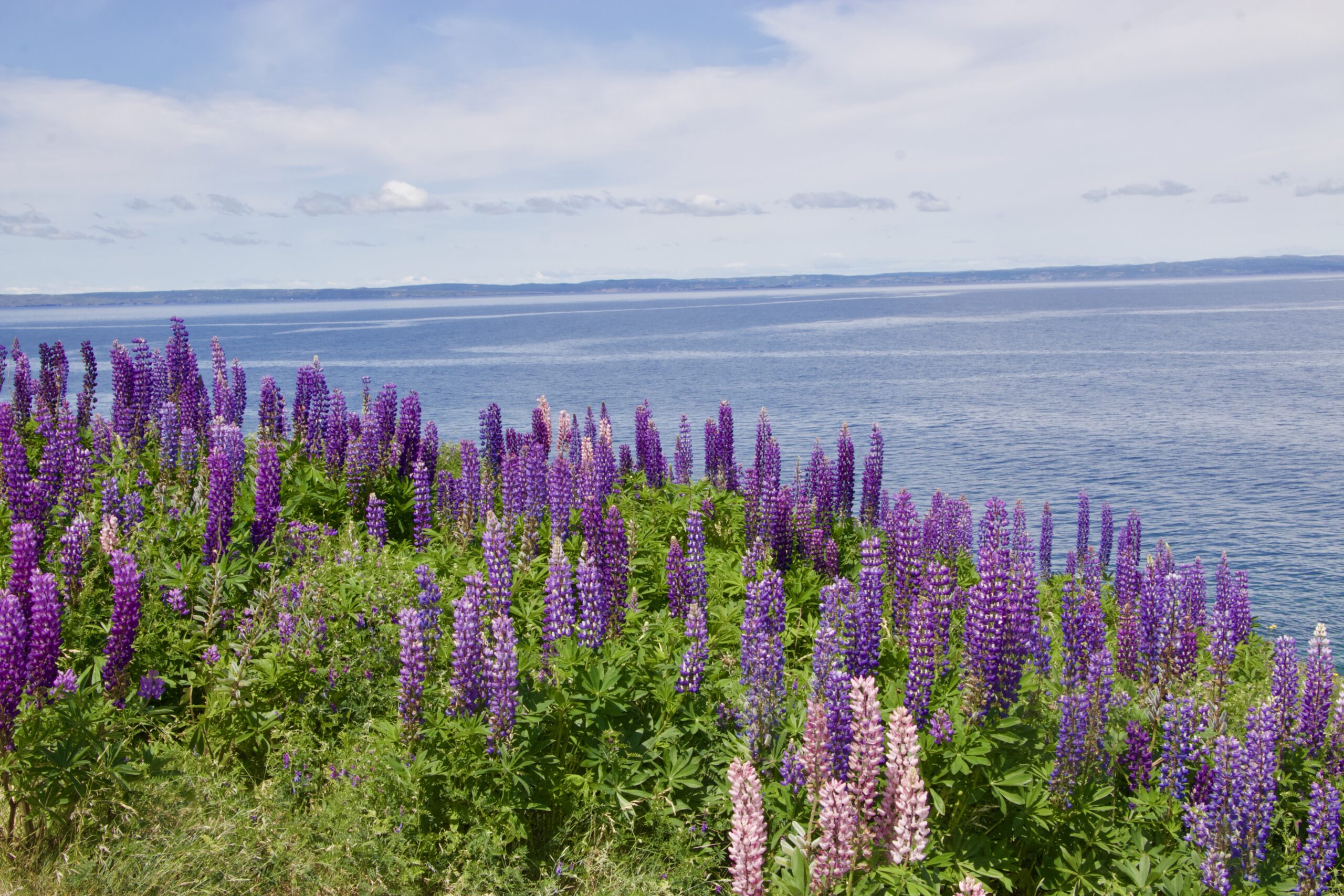 Main Gallery Display