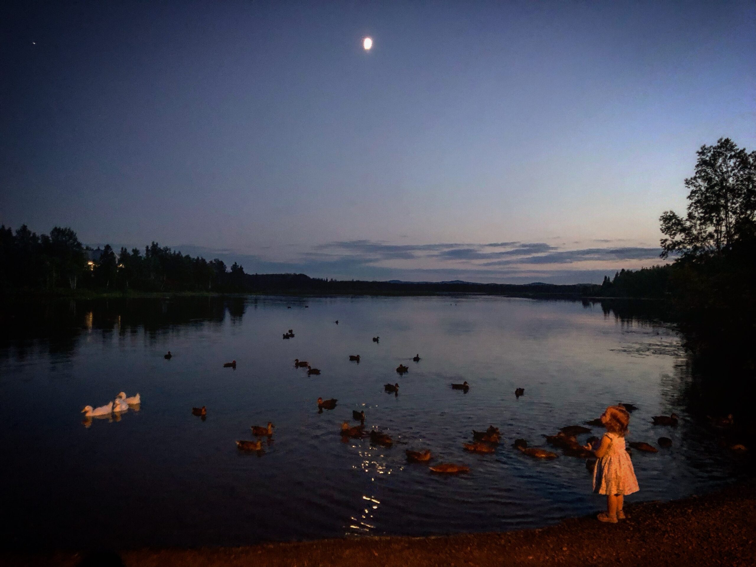 Main Gallery Display