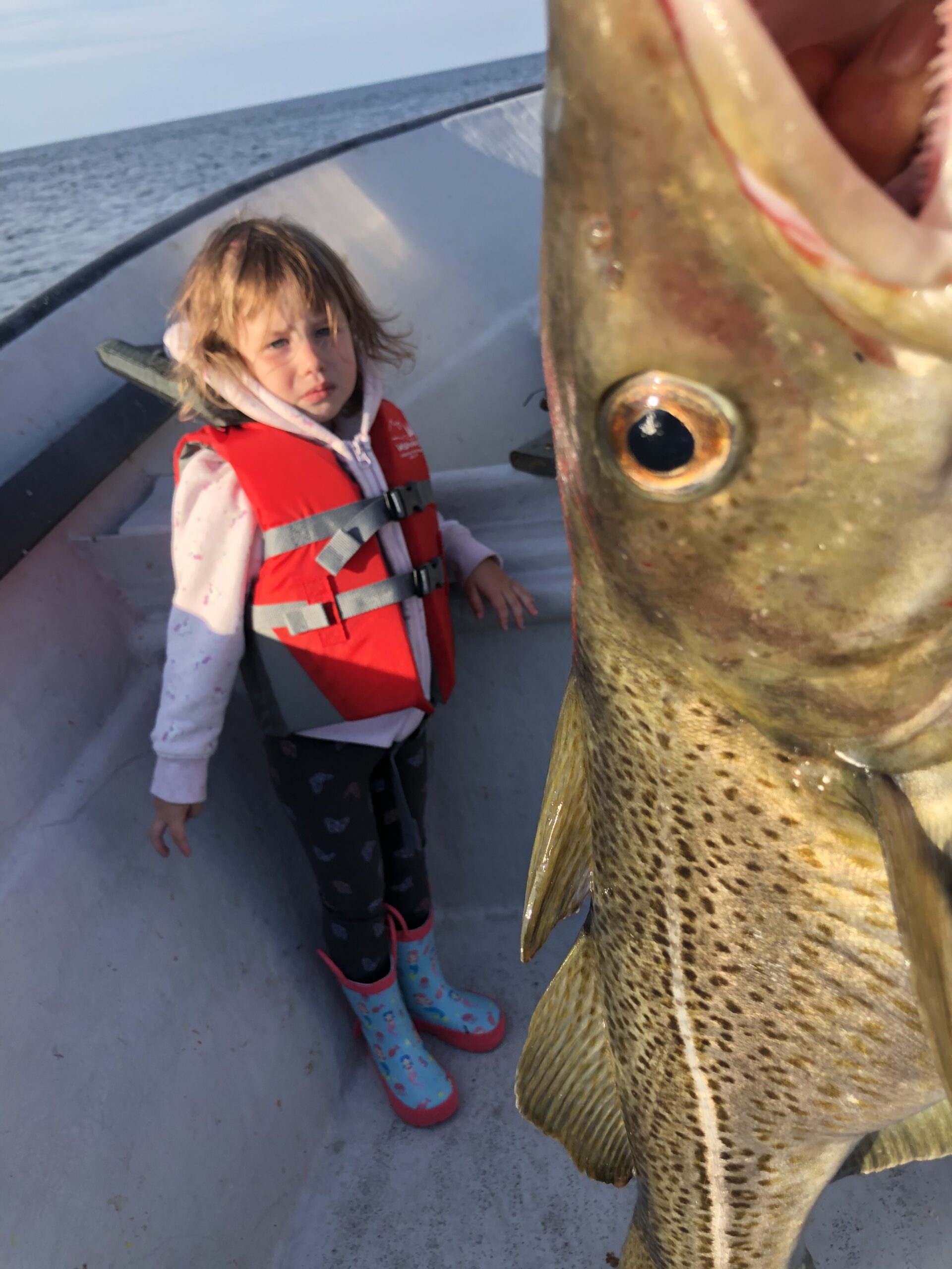 Main Gallery Display