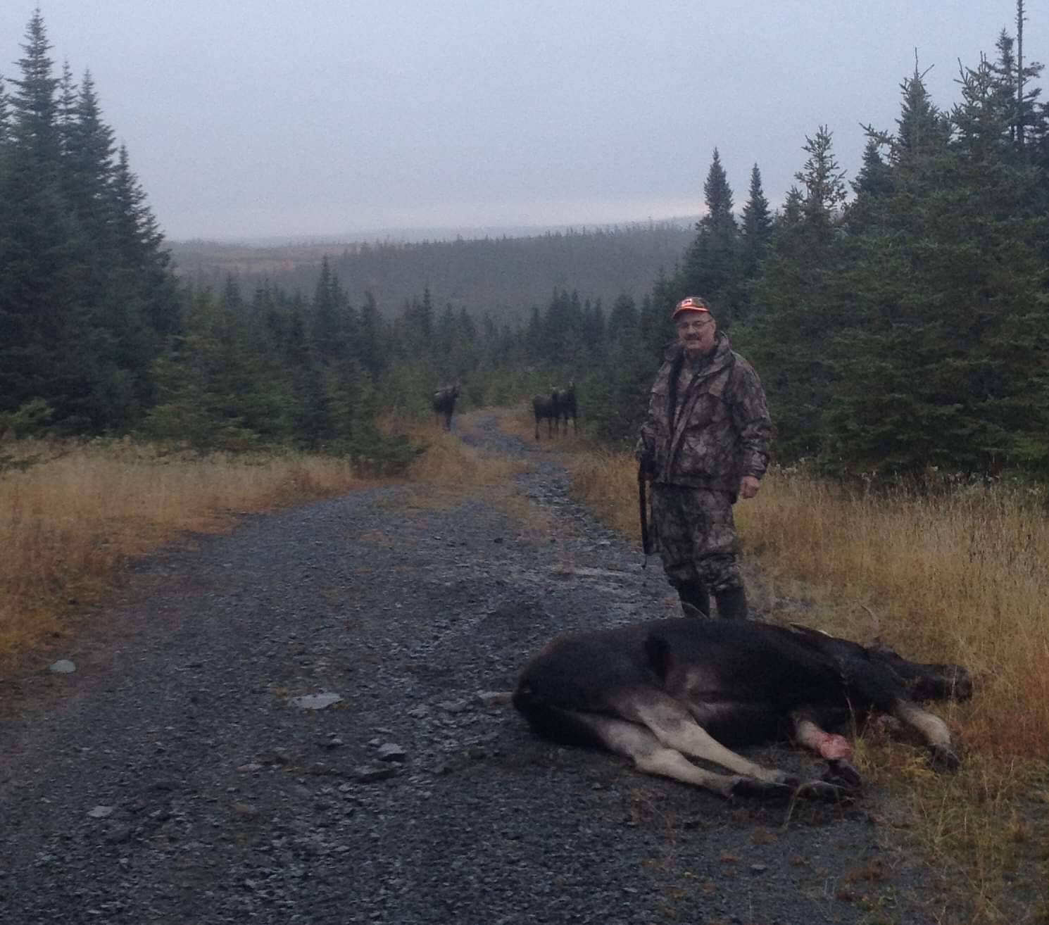 Main Gallery Display