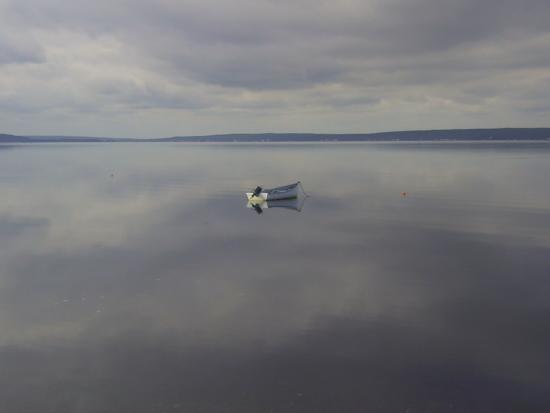Main Gallery Display