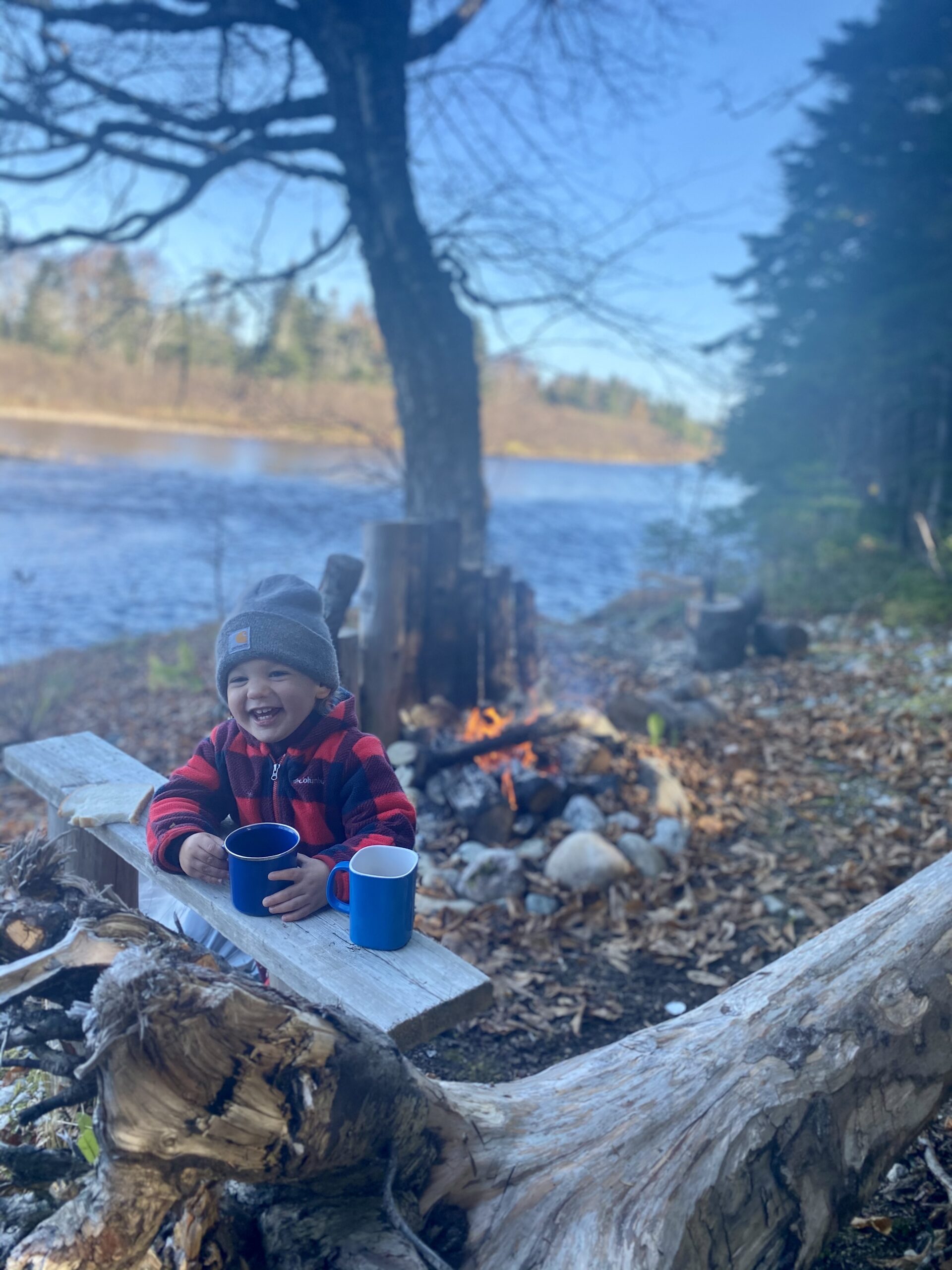 Main Gallery Display