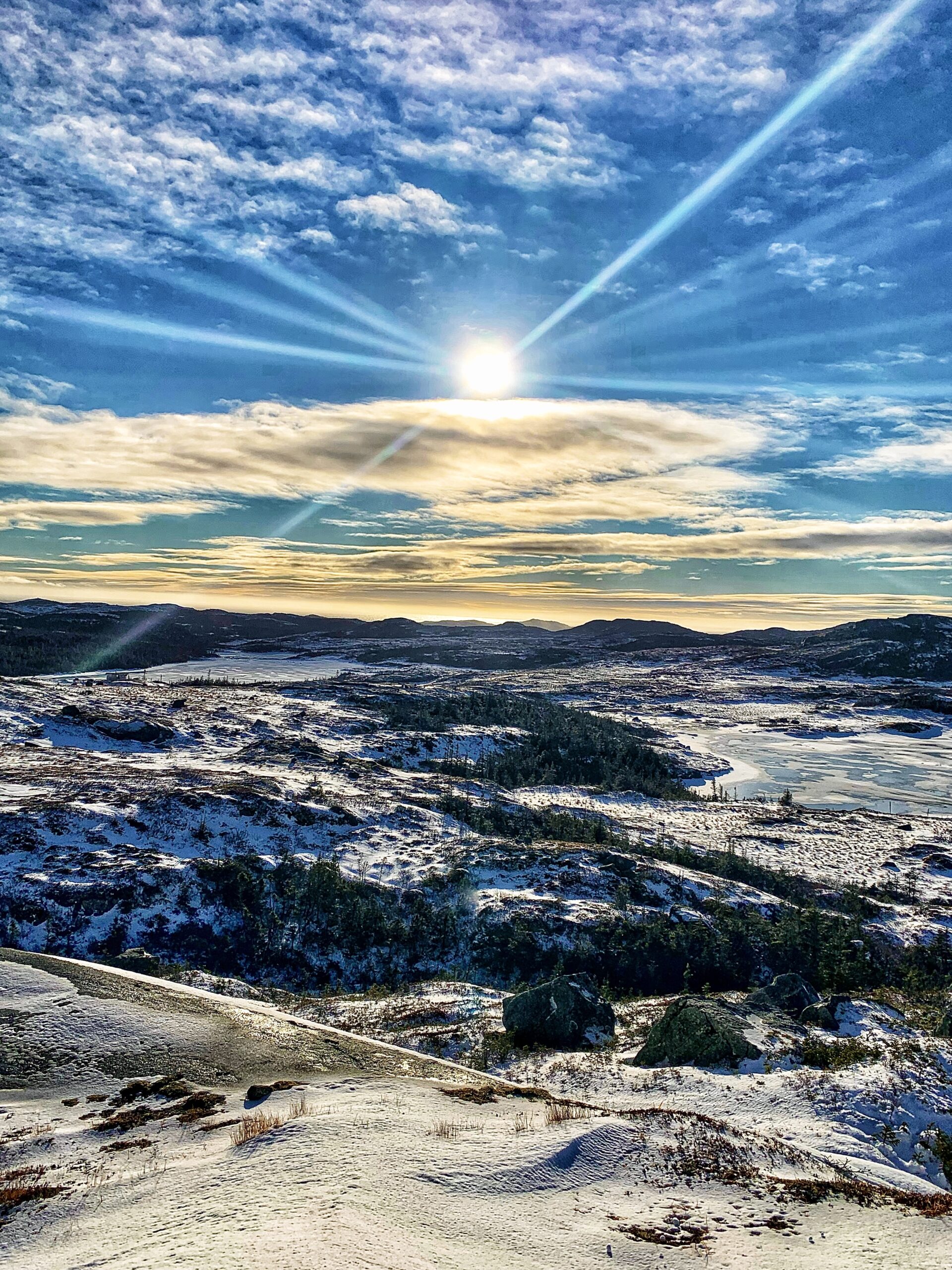 Main Gallery Display