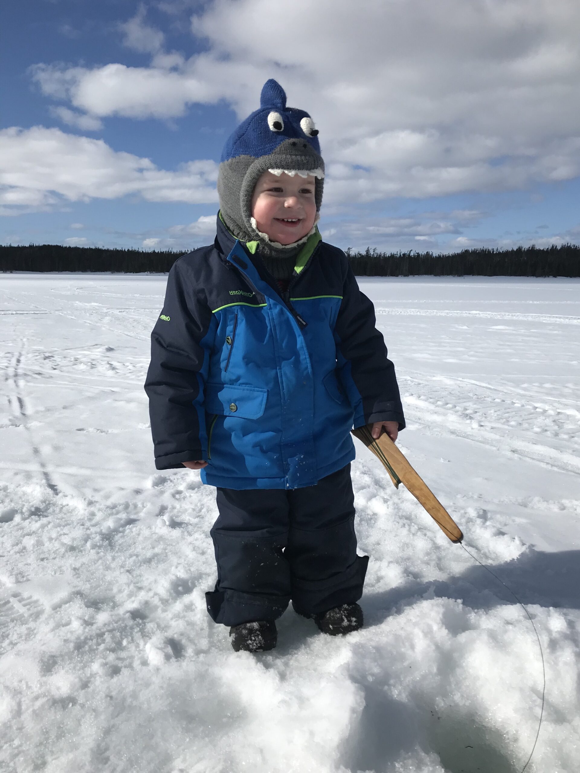 Main Gallery Display