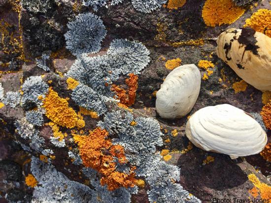 Main Gallery Display