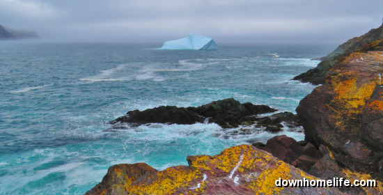 Main Gallery Display