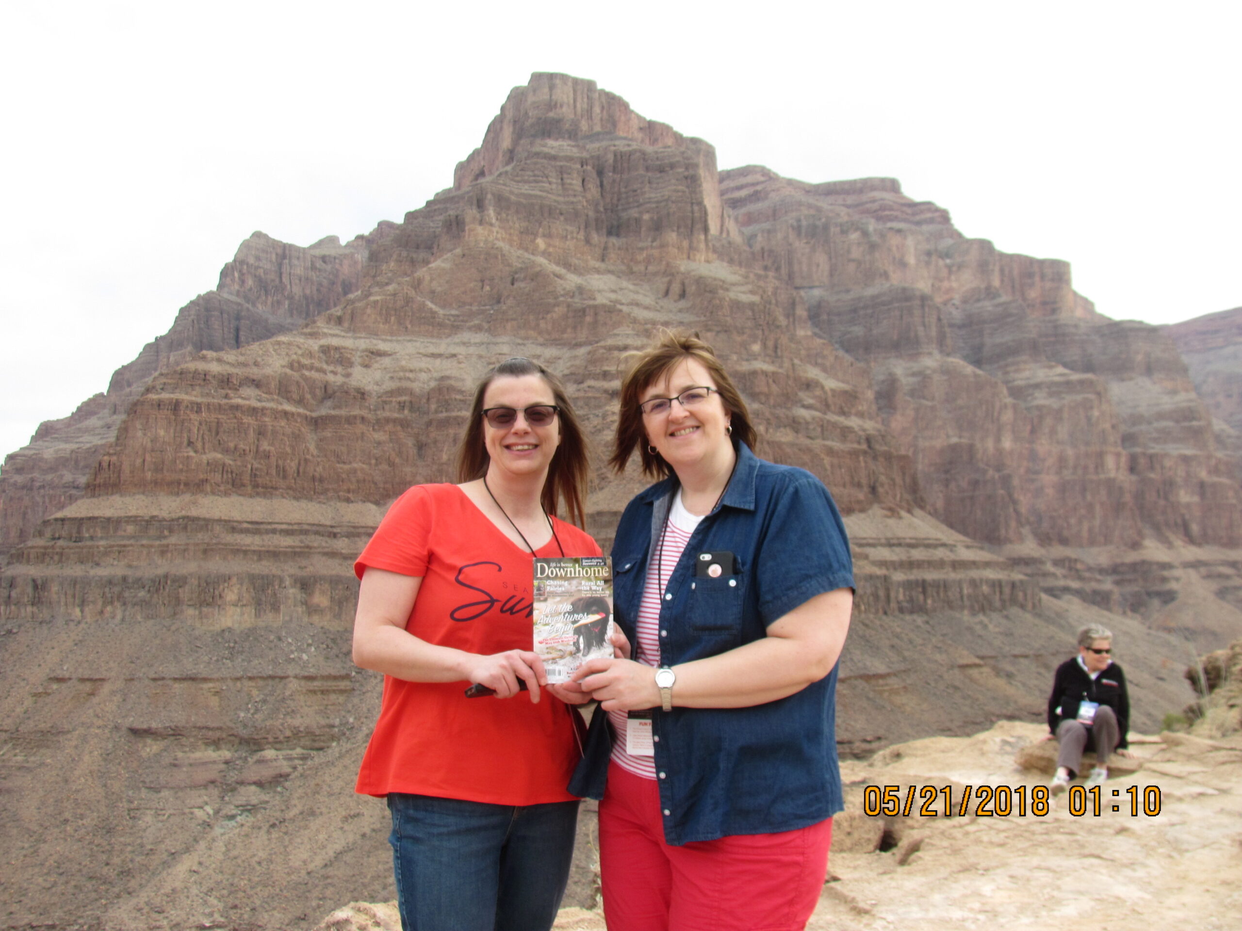 Main Gallery Display