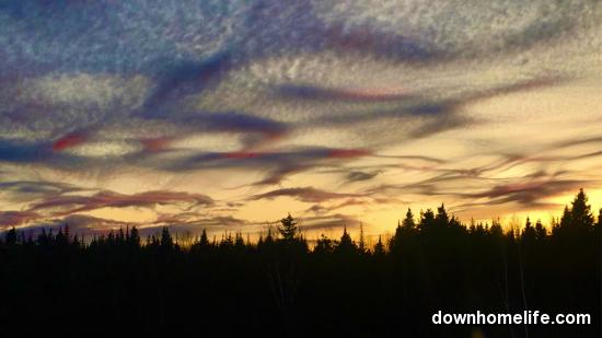 Main Gallery Display