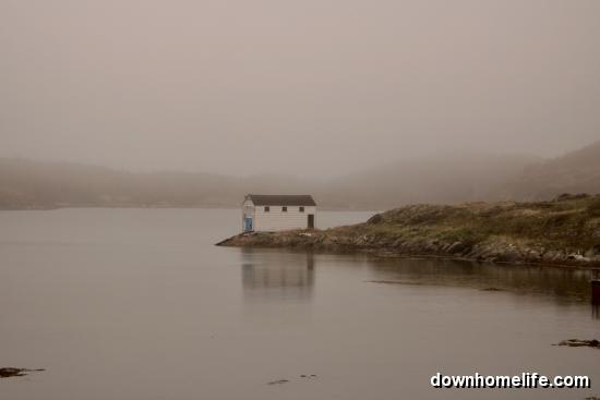Main Gallery Display