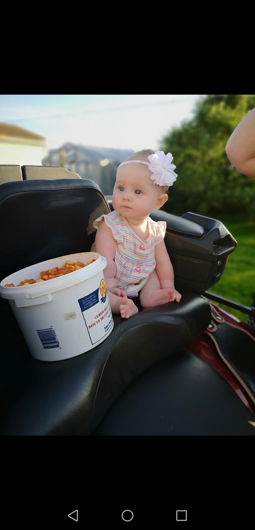 Main Gallery Display