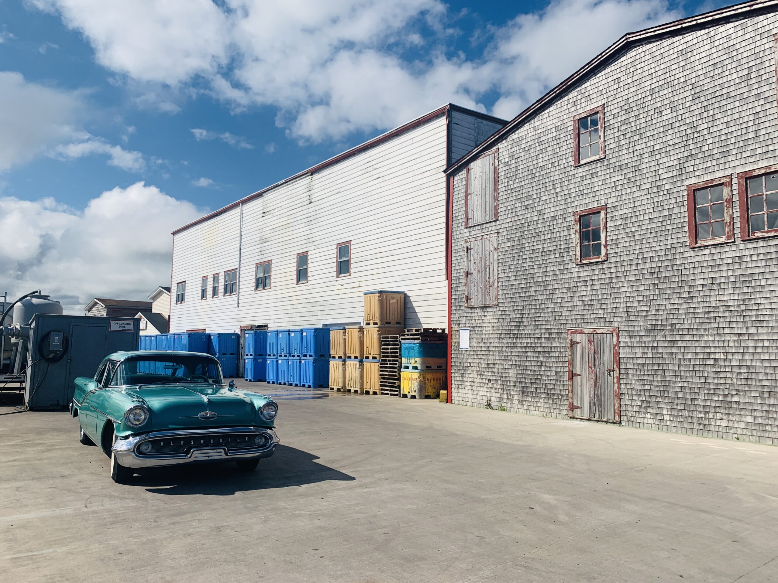 Main Gallery Display