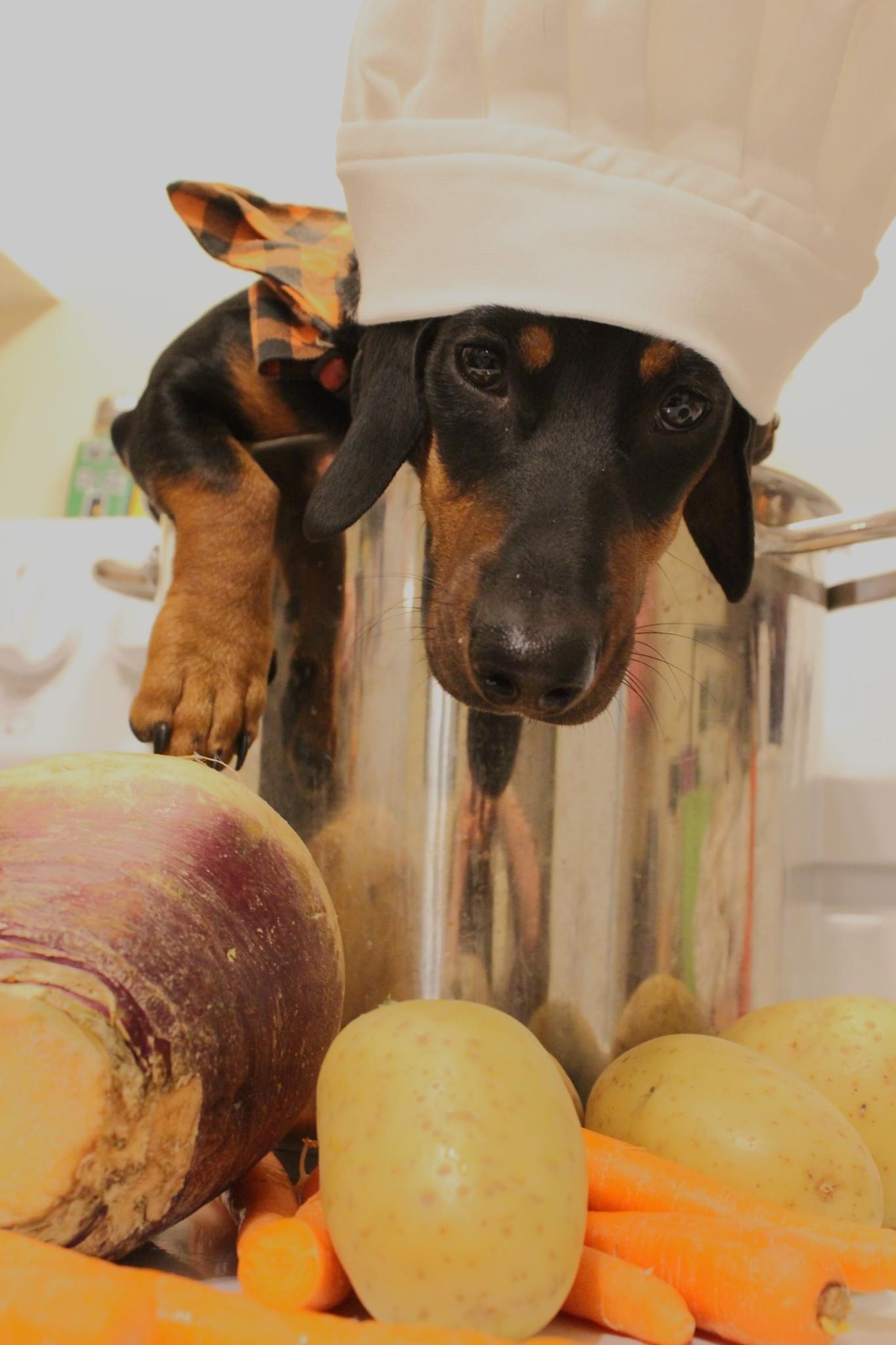 Main Gallery Display