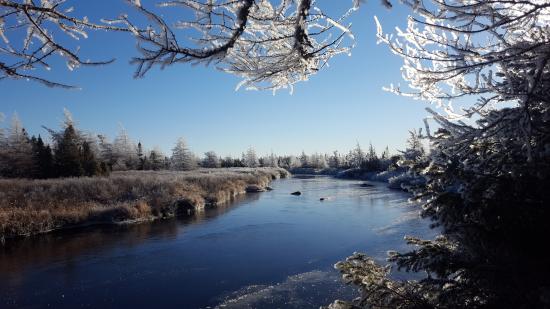 Main Gallery Display