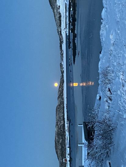 Main Gallery Display