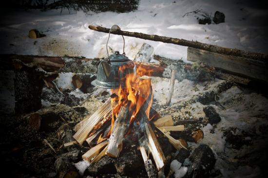 Main Gallery Display