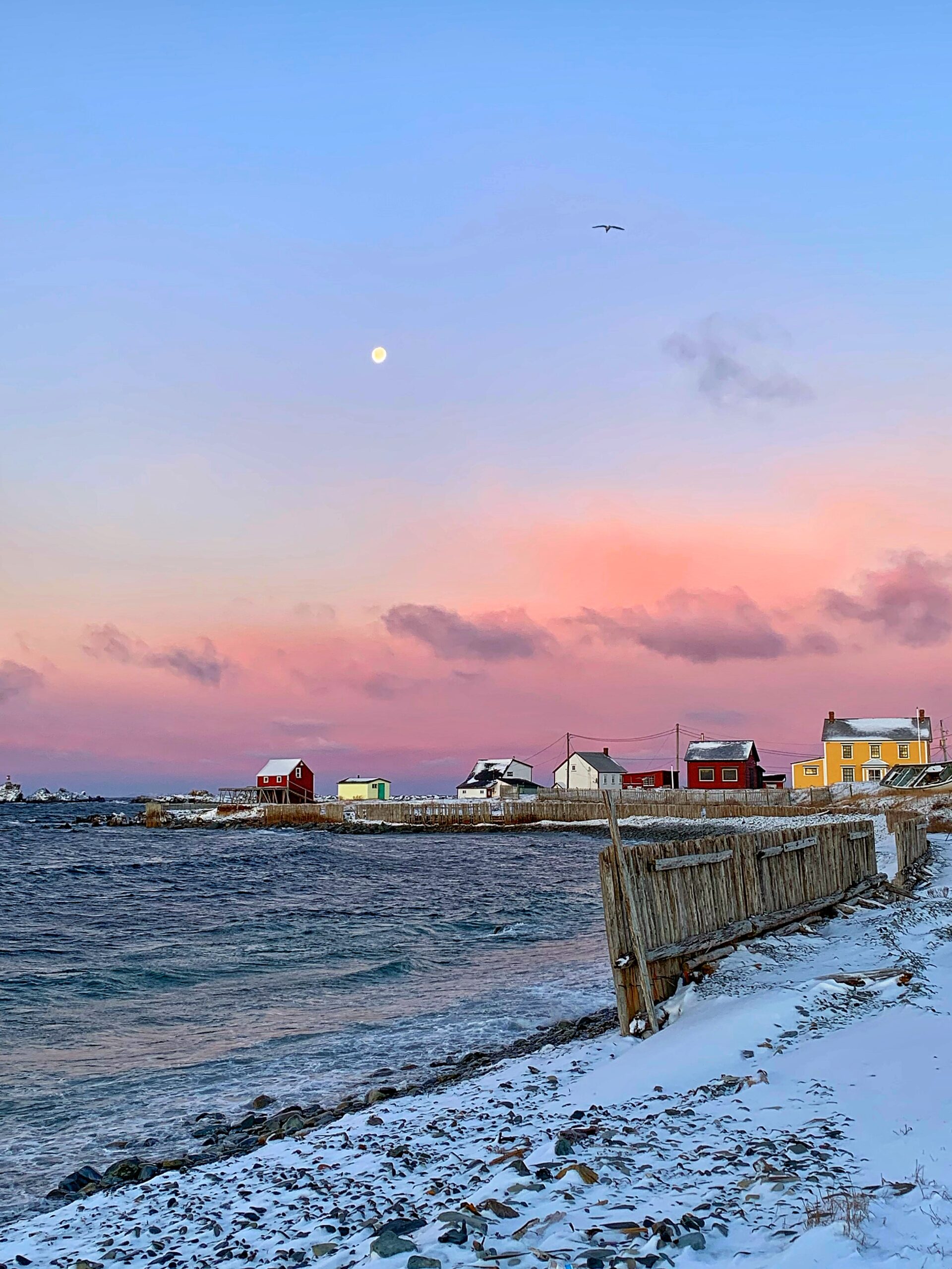 Main Gallery Display