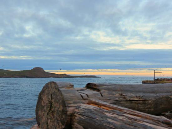 Main Gallery Display