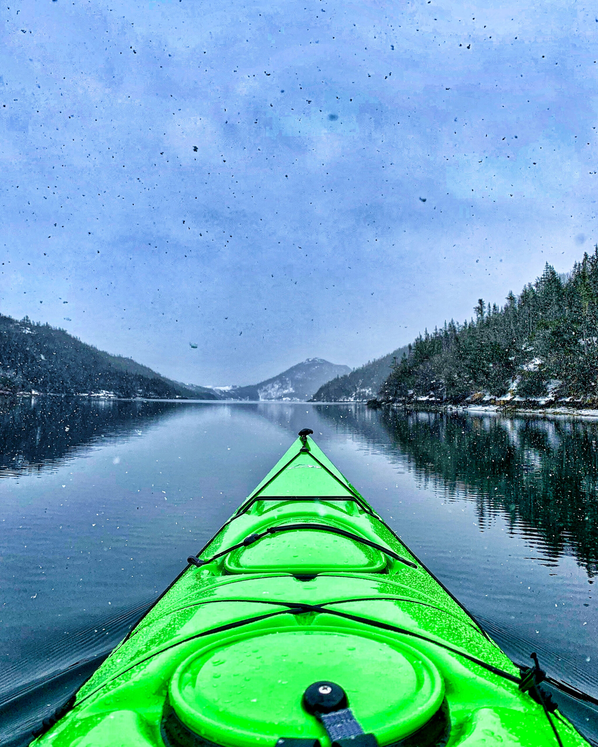 Main Gallery Display