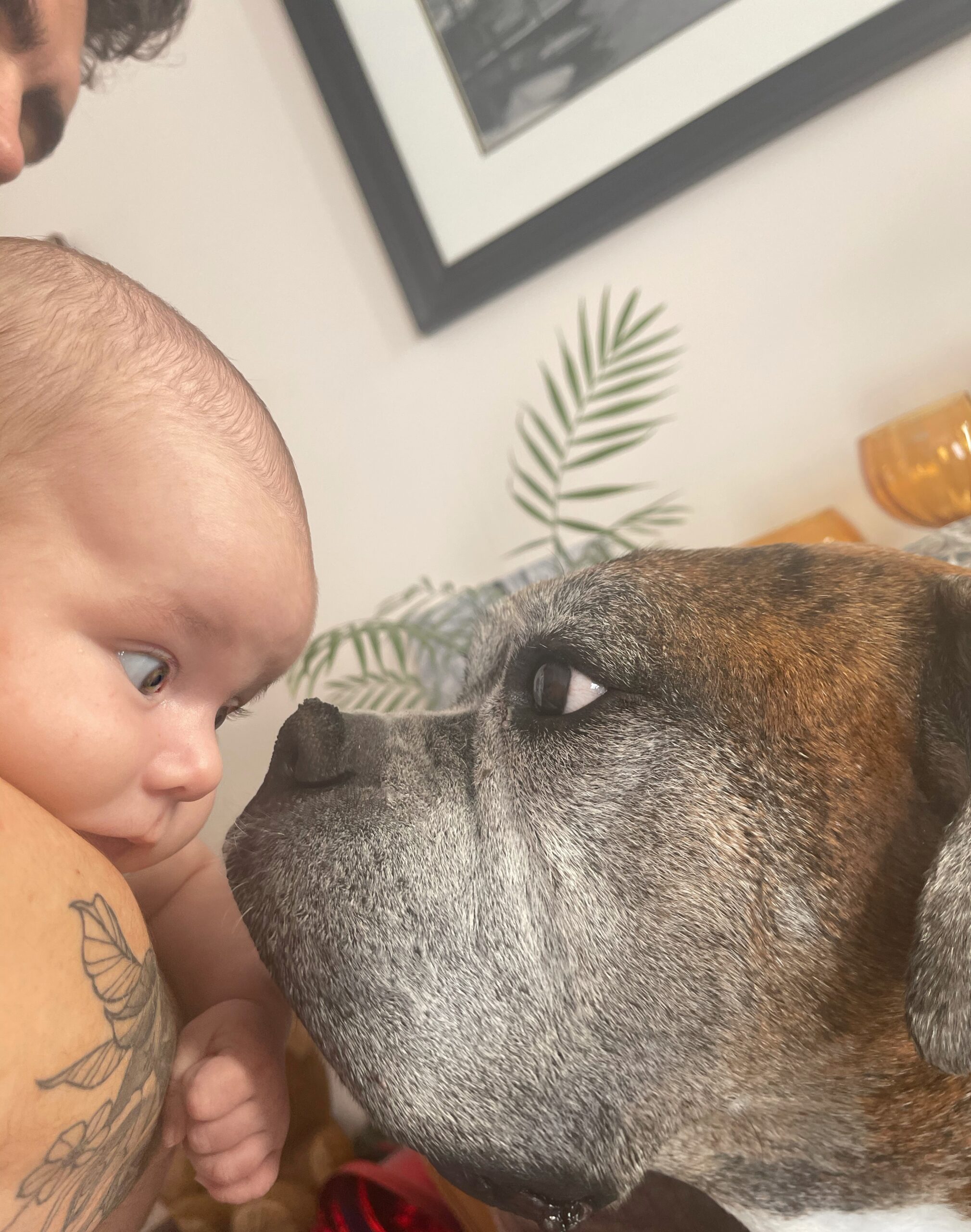 Main Gallery Display