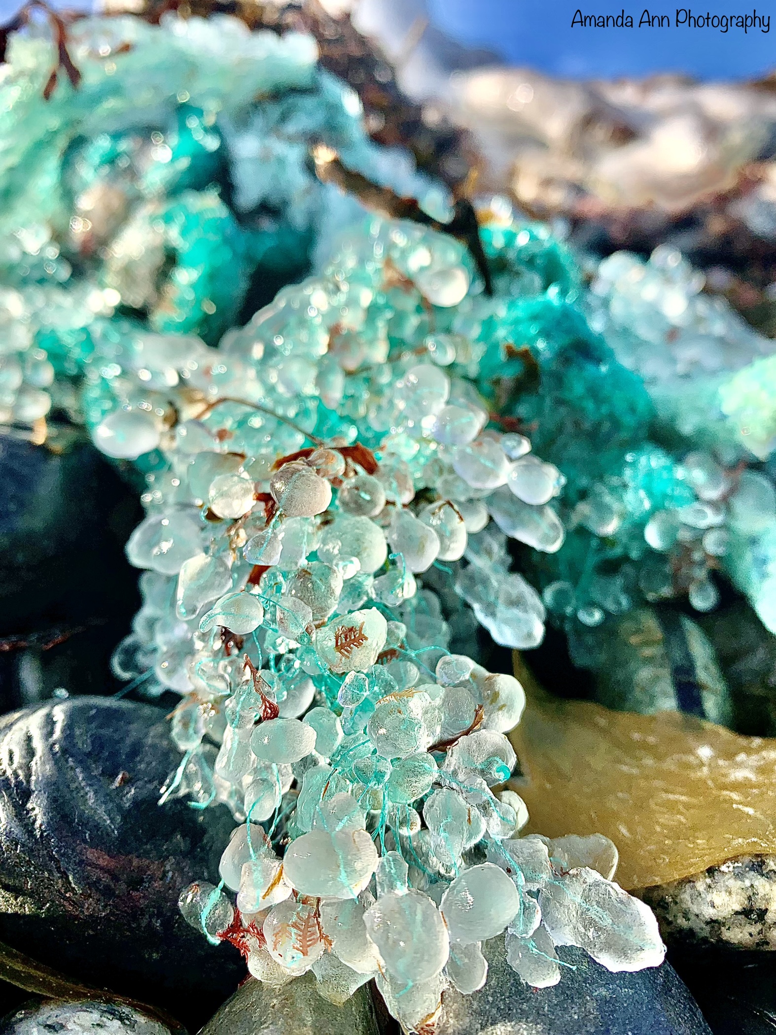 Main Gallery Display