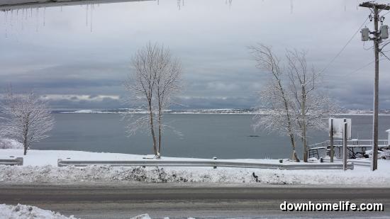 Main Gallery Display