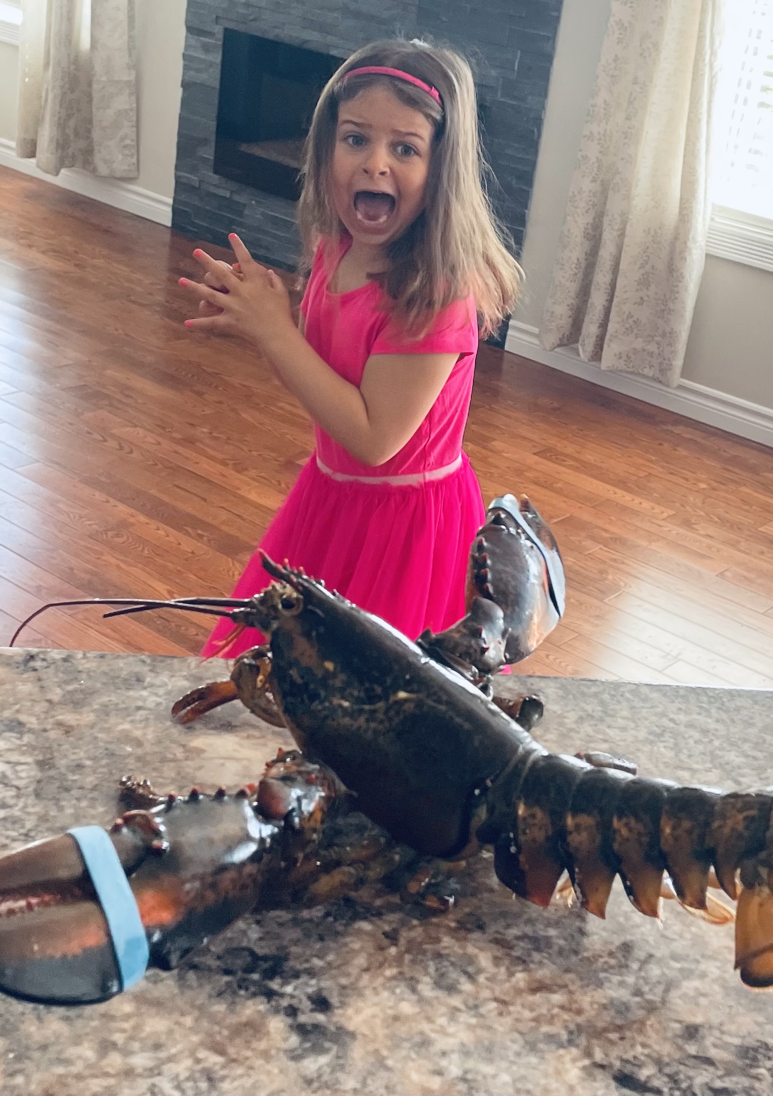 Main Gallery Display