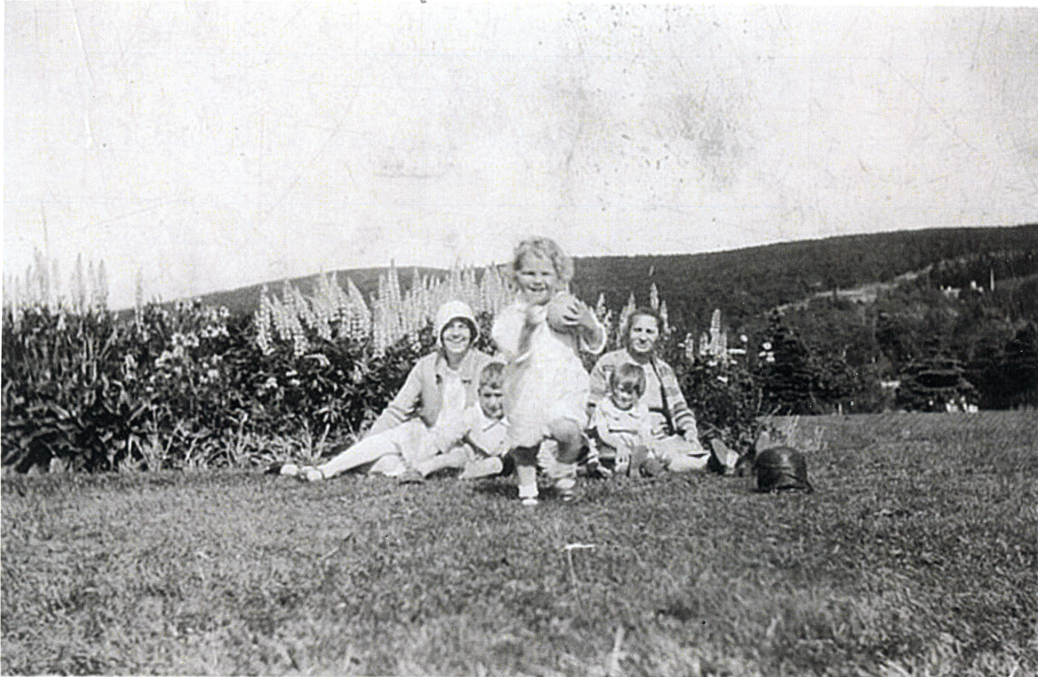 Main Gallery Display