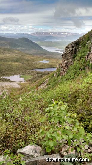 Main Gallery Display