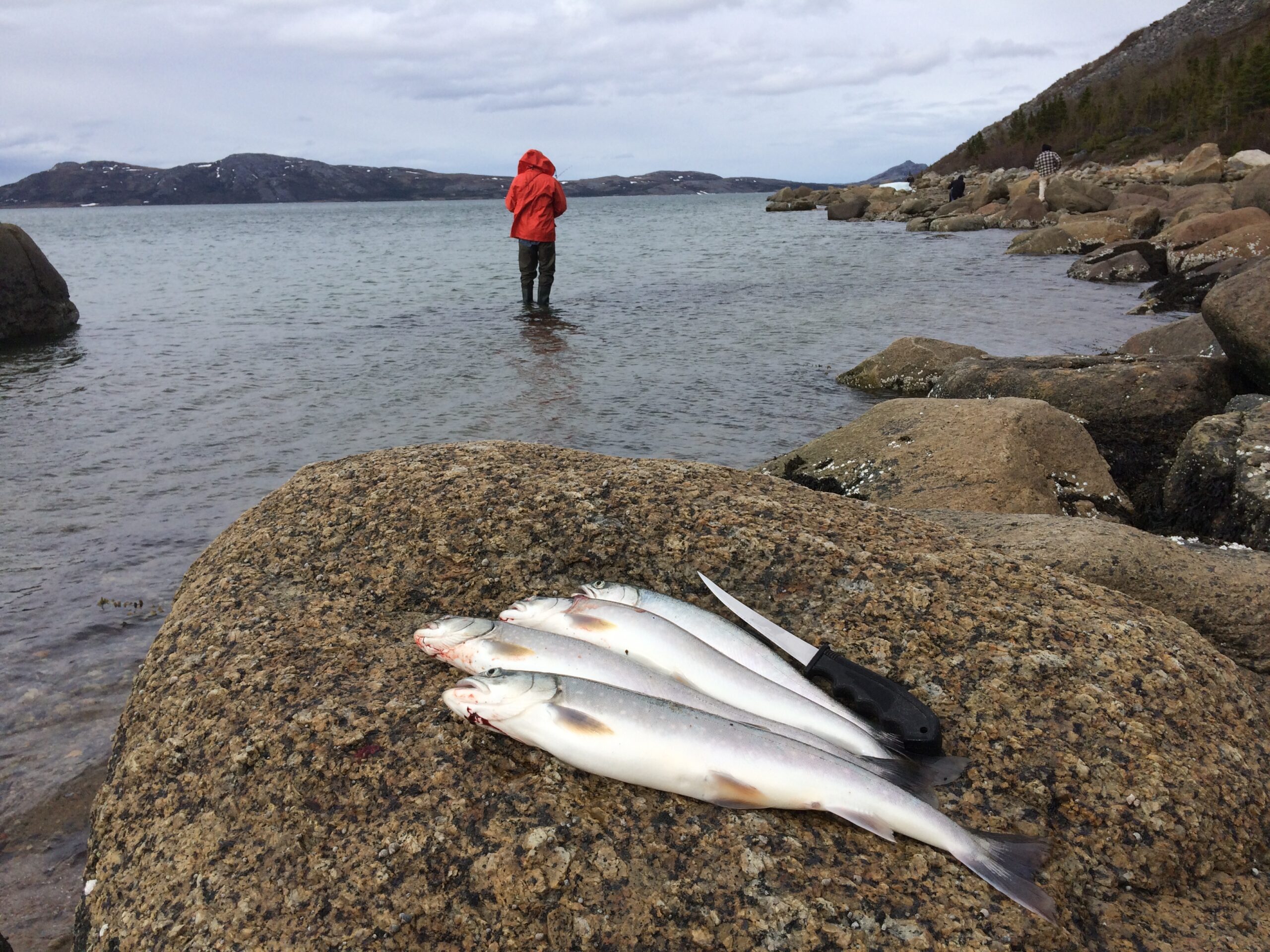 Main Gallery Display