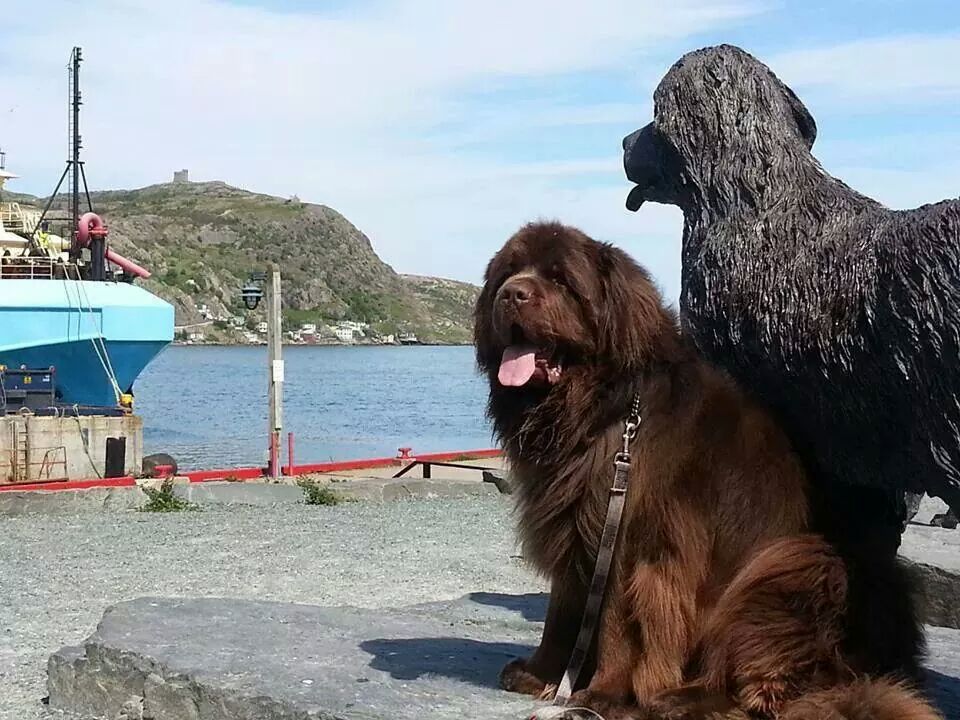 Main Gallery Display