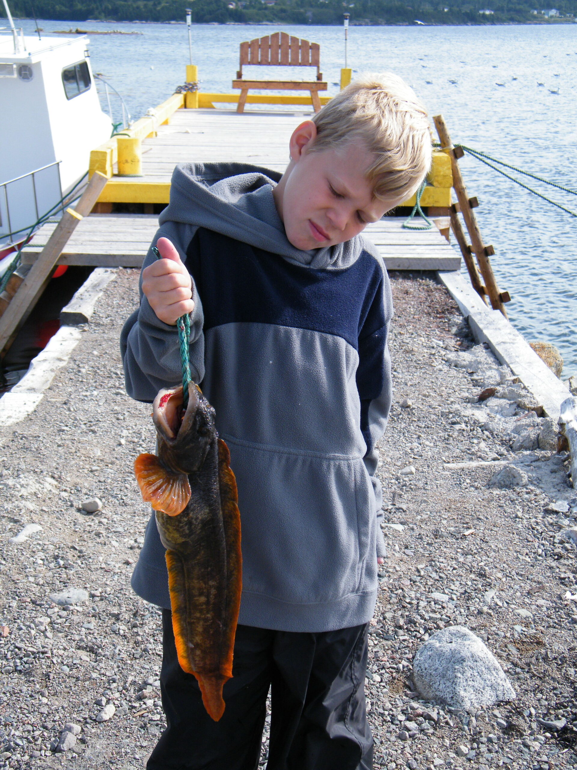 Main Gallery Display