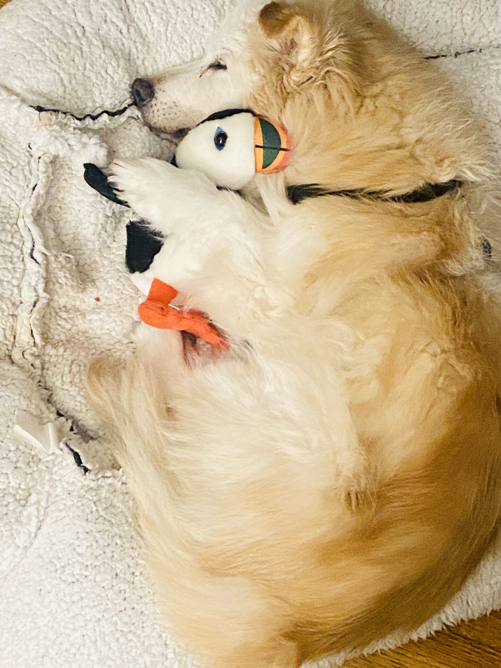 Main Gallery Display