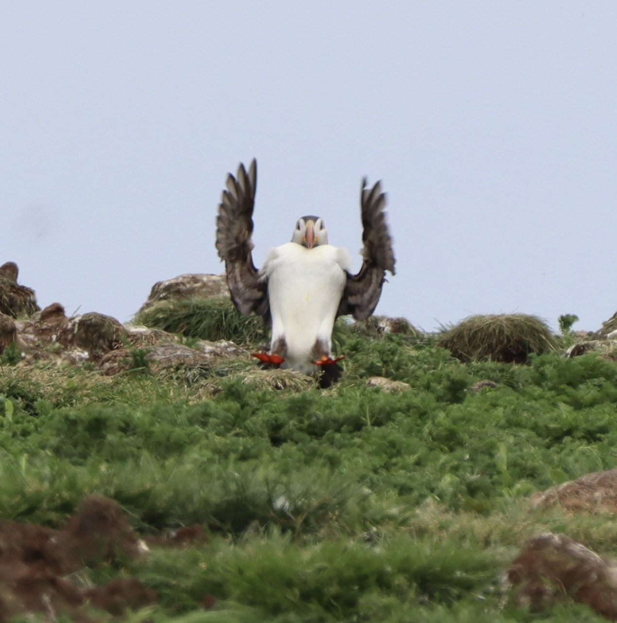 Main Gallery Display