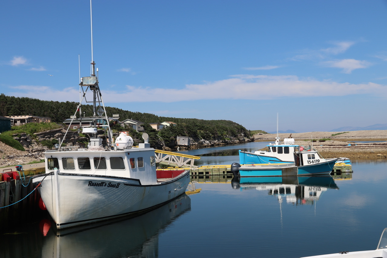 Main Gallery Display