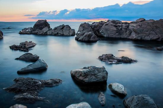 Main Gallery Display