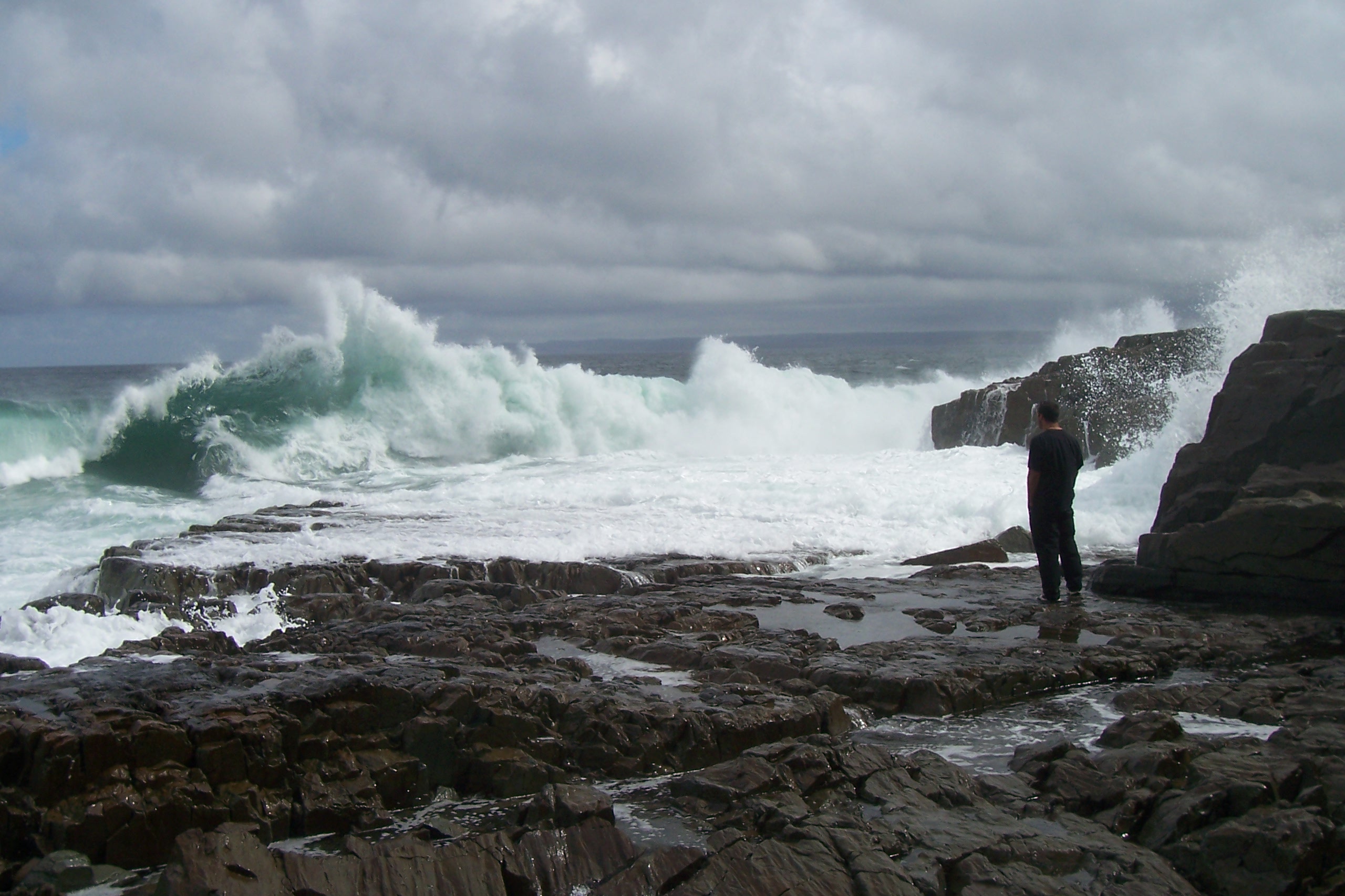 Main Gallery Display